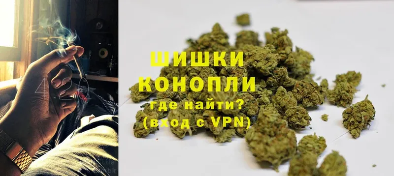 MEGA маркетплейс  Цоци-Юрт  Бошки марихуана Amnesia  как найти закладки 